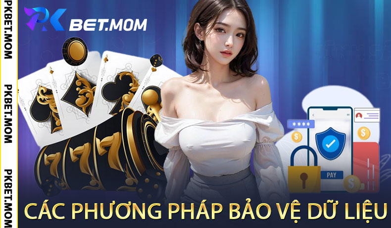 Các Phương Pháp Bảo Vệ Dữ Liệu